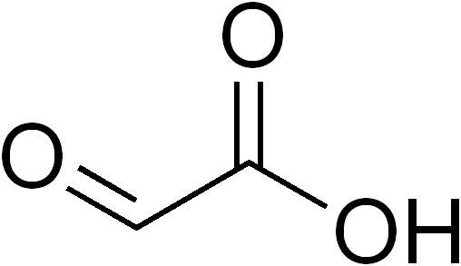 Glyoxylic acid httpsuploadwikimediaorgwikipediacommons44