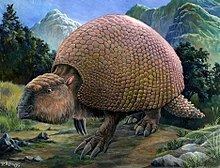 Glyptodon httpsuploadwikimediaorgwikipediacommonsthu