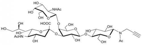 GM2 (ganglioside) GM2 Ganglioside sugarNAcPropargyl Glycoproducts for life