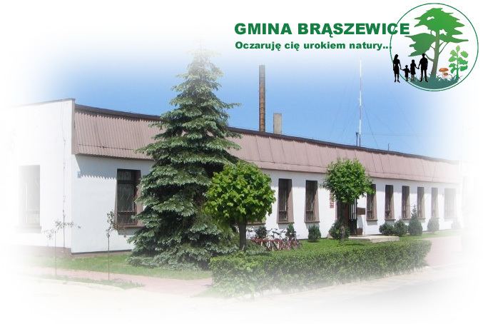 Gmina Brąszewice wwwbraszewicebipnetplgetimgphpnamegmina11jpg