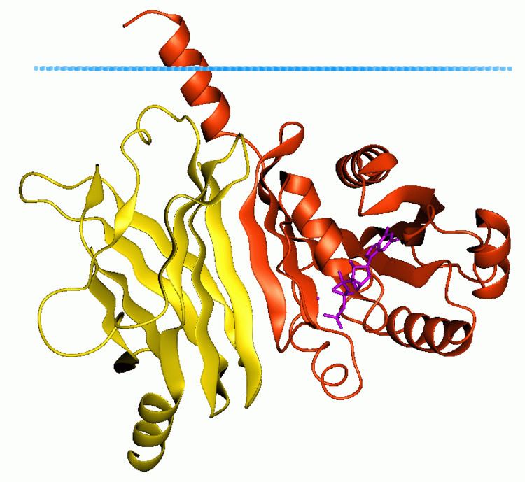 GMP phosphodiesterase, delta subunit