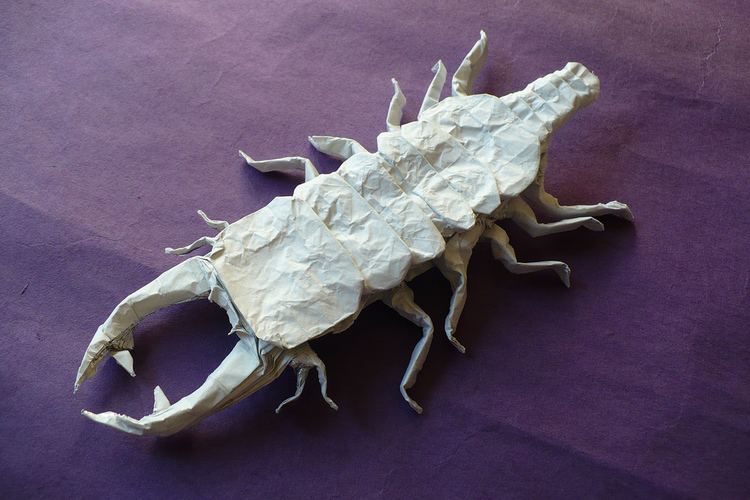 Gnathiidae Gnathiidae Designed and folded by me from one un