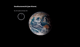 Gnathostomulid Gnathostomulid jaw worms by Aaron Guinn on Prezi