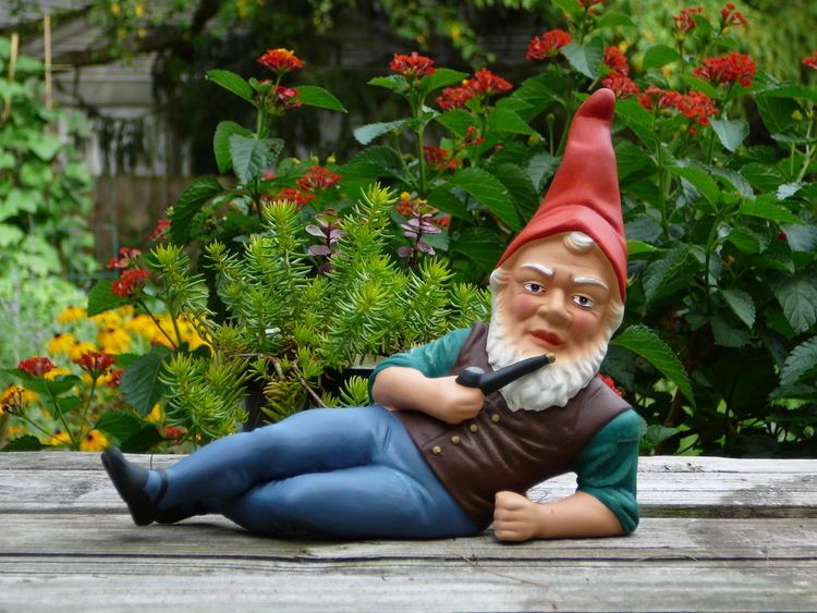 Gnome Garden gnome Wikipedia