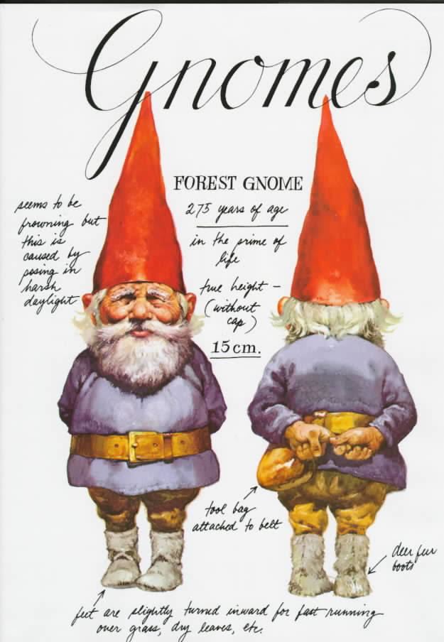 Gnomes (book) t2gstaticcomimagesqtbnANd9GcTNkduf9SGpDVCmH
