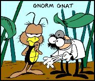 Gnorm Gnat httpsuploadwikimediaorgwikipediaenddeGno