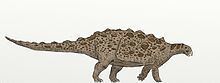 Gobisaurus httpsuploadwikimediaorgwikipediacommonsthu