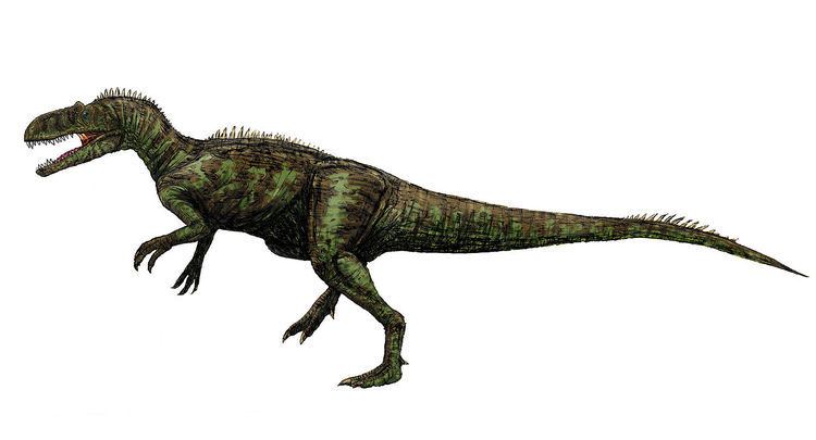 Gobisaurus UPC 4Chilantaisaurus Tashuikouensis Vs Gobisaurus Domoculus