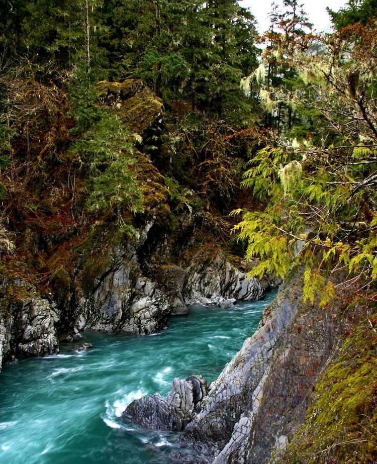 Goblins Gate Elwha River Hikes Exotic Hikes Wilderness Experts