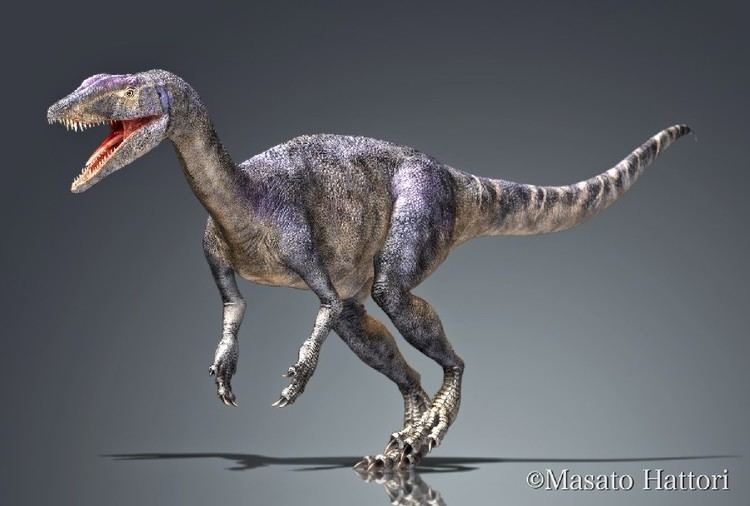 Gojirasaurus Gojirasaurus Pictures amp Facts The Dinosaur Database