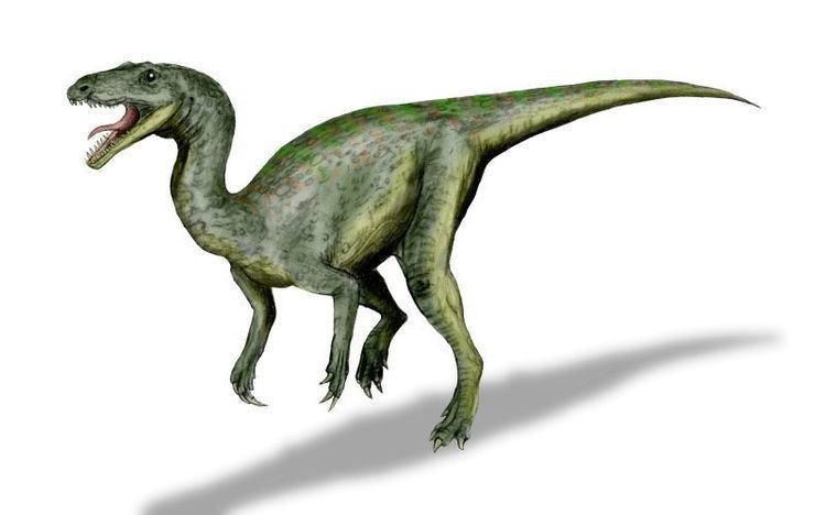 Gojirasaurus httpsuploadwikimediaorgwikipediacommonsff