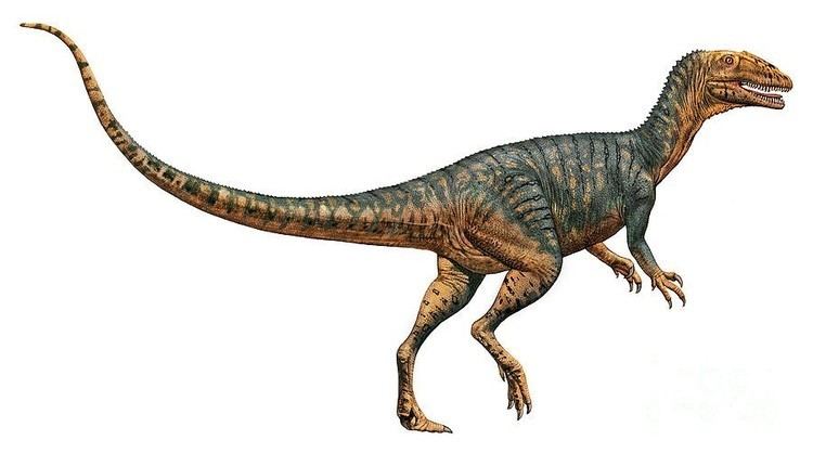 Gojirasaurus Gojirasaurus Pictures amp Facts The Dinosaur Database