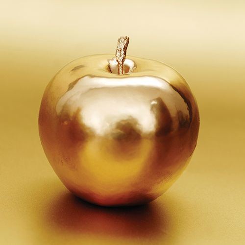 Golden apple 1000 images about golden apple on Pinterest Tablecloths Twilight