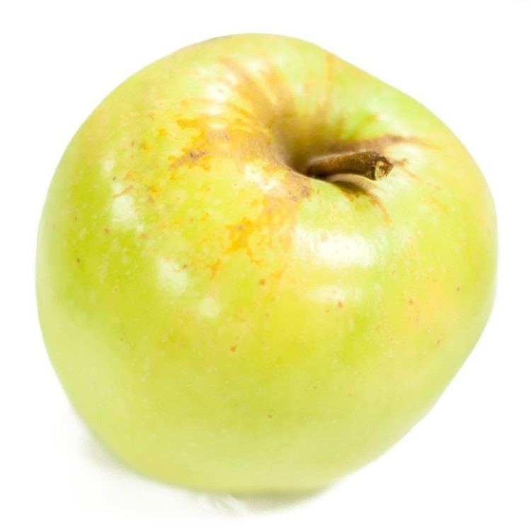 Golden apple Bare Root Dorsett Golden Apple Tree Semidwarf GrowOrganiccom