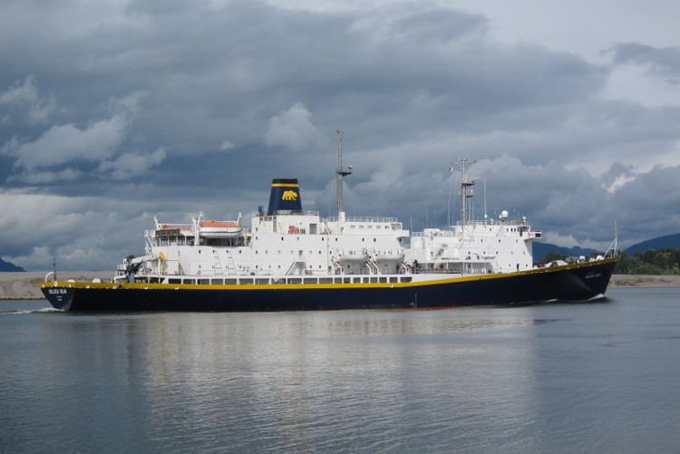 Golden Bear (ship) GOLDEN BEAR IMO 8834407 Callsign NMRY ShipSpottingcom Ship