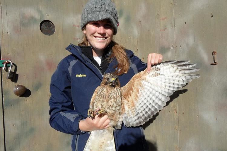 Golden Gate Raptor Observatory APs Make You Look Complacent Not Curious The Happy Talent