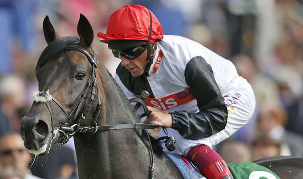 Golden Horn (horse) Golden Horn and Gleneagles clash reset for Irish Champion Stakes