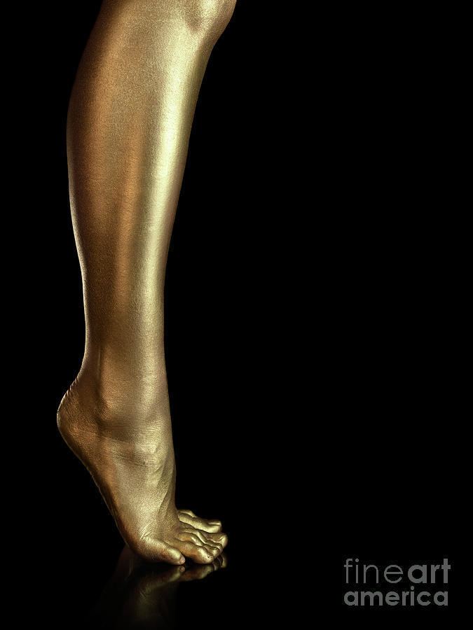 Golden Legs Golden Legs Photograph by Oleksiy Maksymenko
