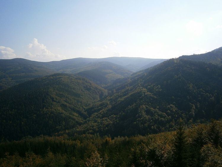 Golden Mountains (Sudetes) Rychlebsk hory
