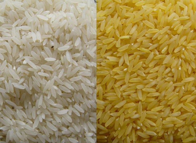 Golden rice The Golden Rice Project