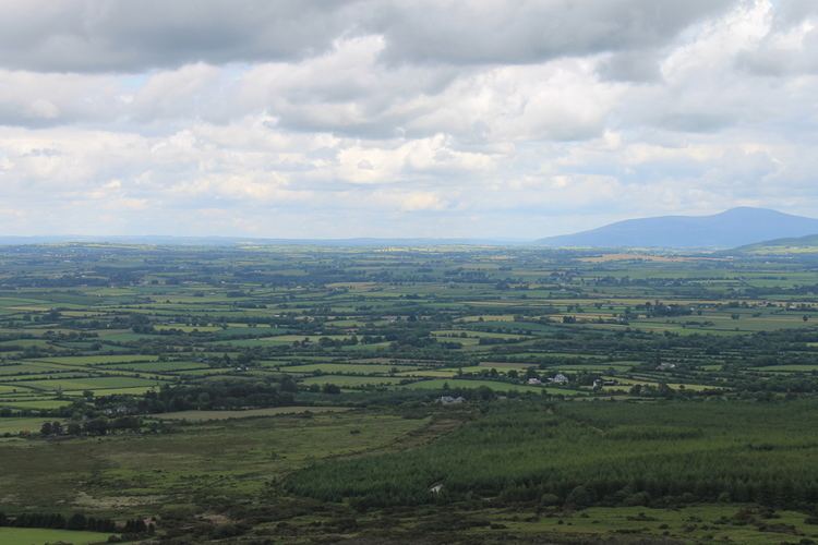 Golden Vale Summer in Ireland Mountain Lake Swimming 1 LoneSwimmer