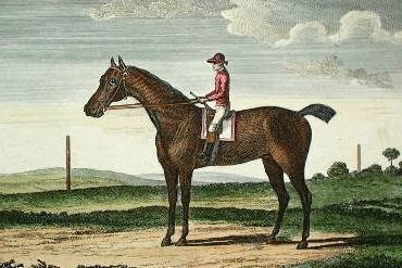 Goldfinder (horse) httpsuploadwikimediaorgwikipediacommonsdd