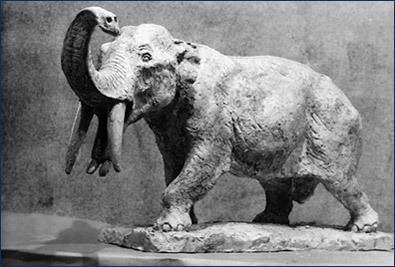 Gomphothere The Gomphotheriidae