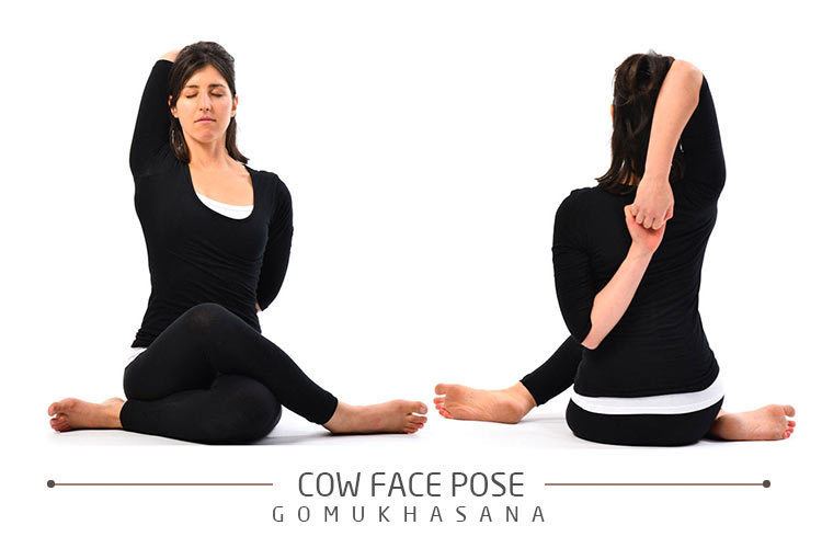 Gomukhasana Yoga Poses Gomukhasana Cow Face Pose
