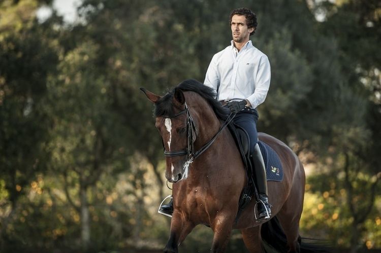 Gonçalo Carvalho Gonalo Carvalho Olympic Dressage Rider Lusitano Horse Finder