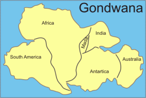 Gondwana Introduction GeoLearning Department of Earth Sciences