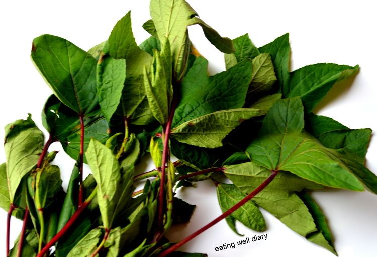 Gongura Gongura leaves Chutney or Thuvaiyal with A Healthy Tip DFT