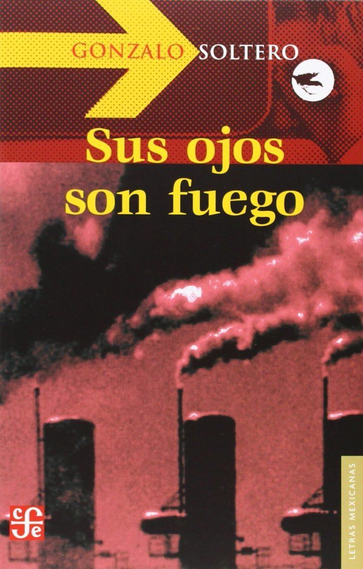 Gonzalo Soltero Sus Ojos Son Fuego Gonzalo Soltero 9789681682668 Books Amazonca