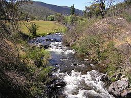 Goodradigbee River httpsuploadwikimediaorgwikipediacommonsthu