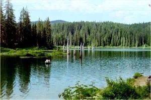 Goose Lake (Washington) httpswwwfsusdagovInternetFSEMEDIAfsbdev3