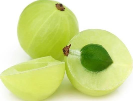 Gooseberry Gooseberry Farming Amla Information Guide AsiaFarmingcom