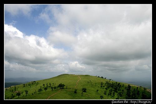 Gopalaswamy Hills Trip to Gopalaswamy betta and BR hills Travel Photography and