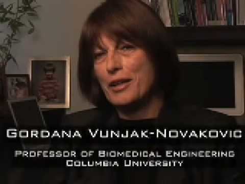 Gordana Vunjak-Novakovic Gordana Vunjak Novakovic WITI Hall of Fame 2008 Induction