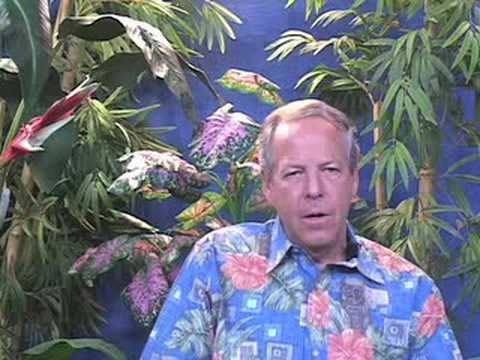 Gordon Trimble Senator Gordon Trimble Talks About District 12 In Hawaii YouTube