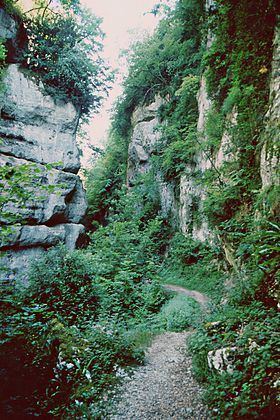 Gorges du Guiers Vif httpsuploadwikimediaorgwikipediacommonsthu
