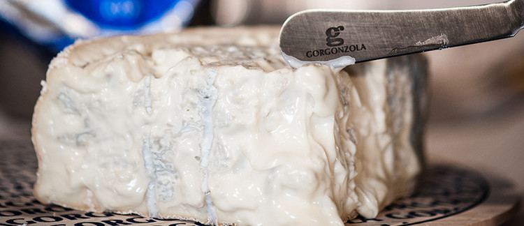 Gorgonzola The Aroma of Gorgonzola PDO Pleasant or Unpleasant Gorgonzola Cheese