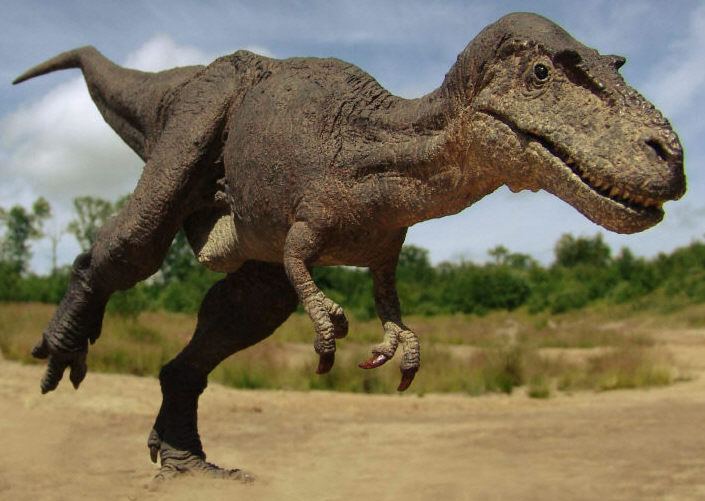 Gorgosaurus Gorgosaurus Facts and Pictures