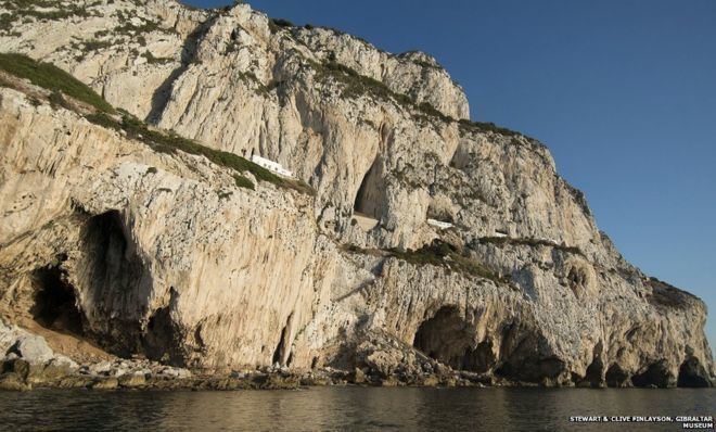 Gorham's Cave Neanderthal 39artwork39 found in Gibraltar cave BBC News