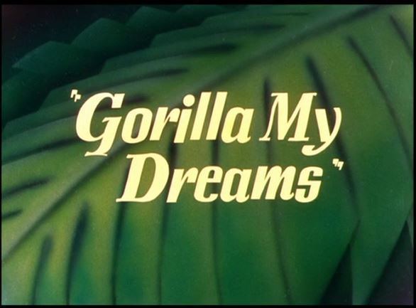 Gorilla My Dreams Looney Tunes Gorilla My Dreams B99TV