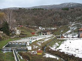 Gornji Dušnik httpsuploadwikimediaorgwikipediacommonsthu