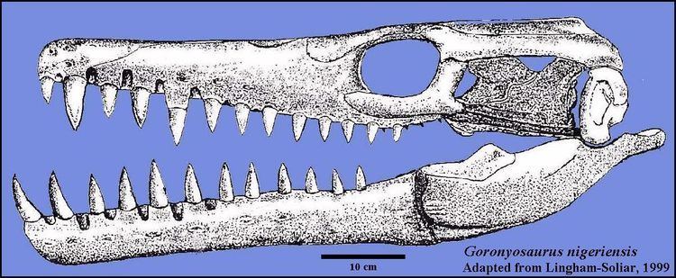 Goronyosaurus Goronyosaurus nigeriensis The World of Animals