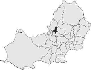 Gorseinon (electoral ward)