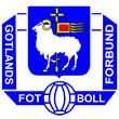 Gotland official football team httpsuploadwikimediaorgwikipediaen22aGot