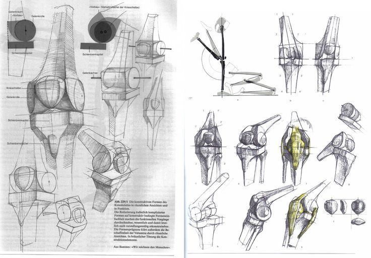 Gottfried Bammes gottfried bammes Figures amp Anatomy Pinterest