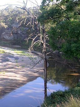 Goulburn River (New South Wales) httpsuploadwikimediaorgwikipediacommonsthu