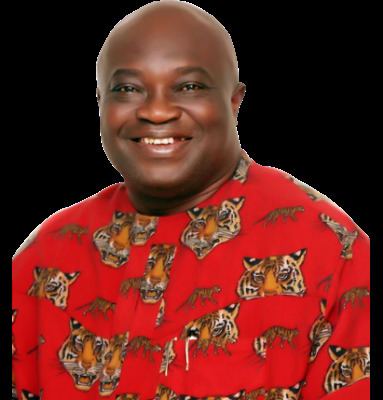 Governor of Abia State
